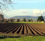 agriculturefield_s
