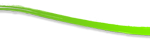 divider