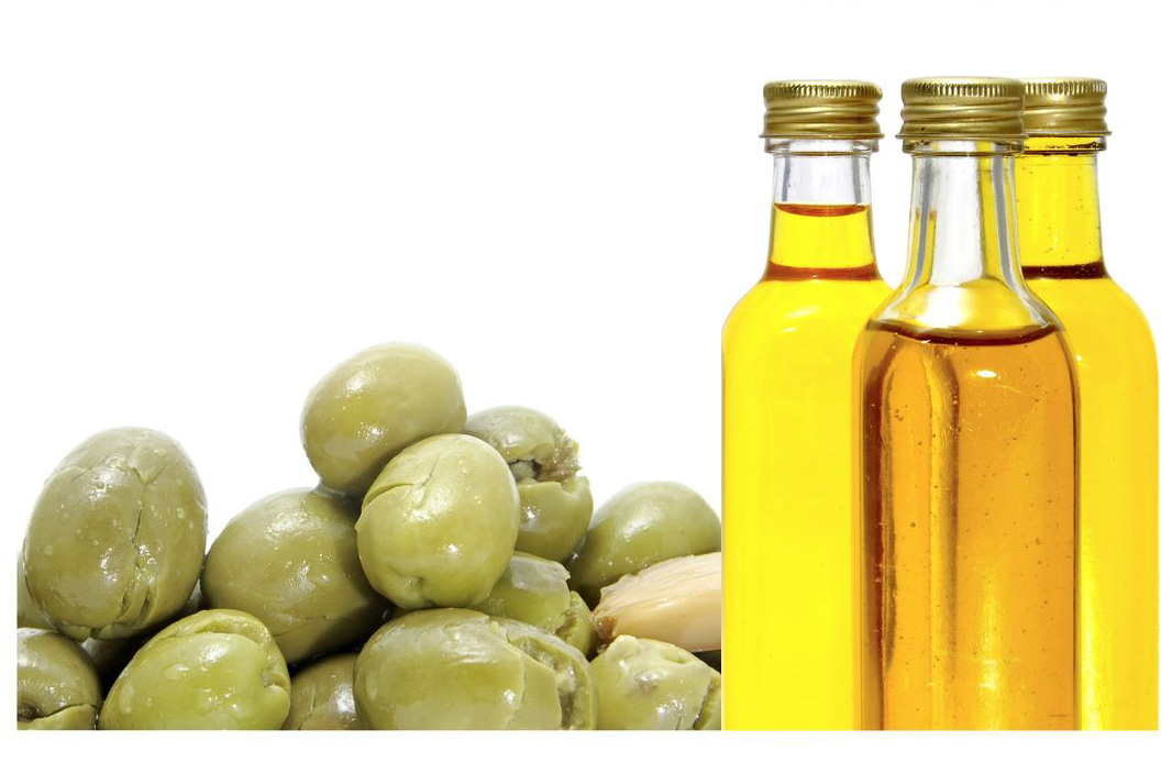 plantar oliveiras plantar oliveiras