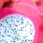 como-cultivar-pitaya